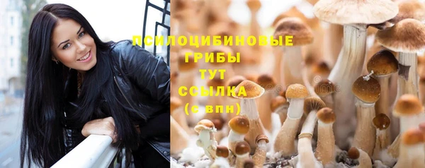 MESCALINE Богородицк