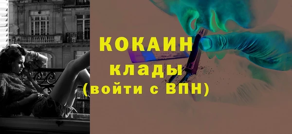 ГАЛЛЮЦИНОГЕННЫЕ ГРИБЫ Белокуриха