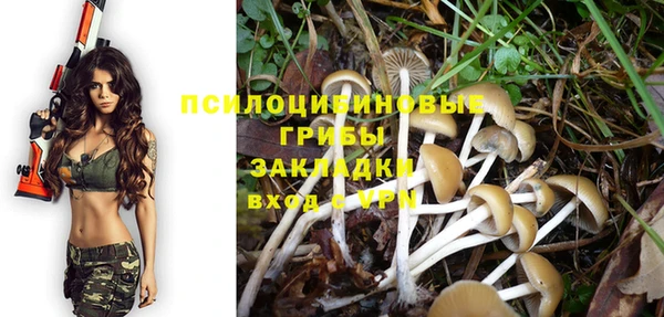 амф Беломорск