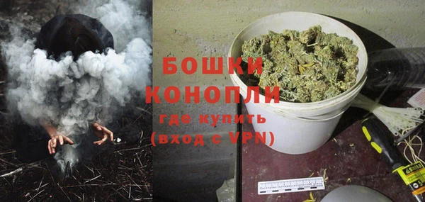 spice Богданович