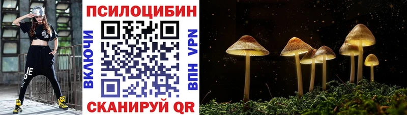 хочу   Бугуруслан  Галлюциногенные грибы Psilocybe 